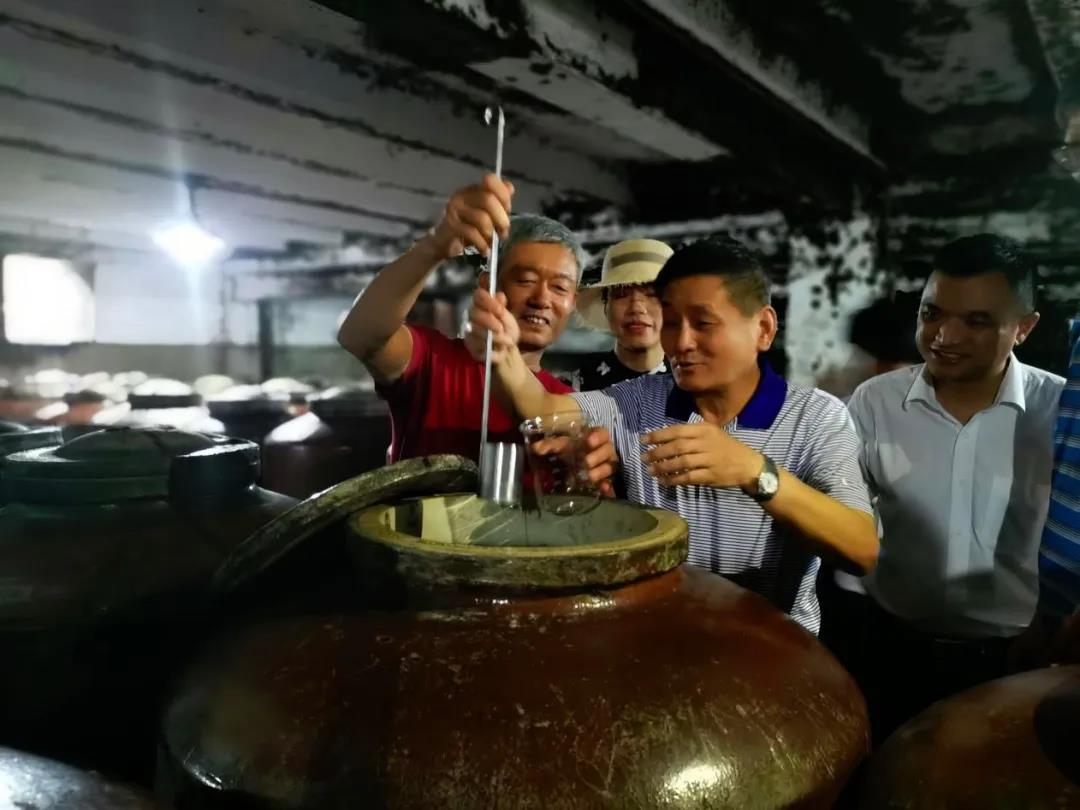 中国著名作家叶辛时隔36年故地重游董酒厂